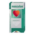 MASCULAN Anatomic 10ks