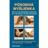 Pôsobivá myšlienka - Alan Sroufe Pôsobivá myšlienka - Alan Sroufe