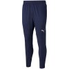 Pants Puma teamFinal Training M 657380 06 modrá
