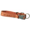 Obojok Hurtta Casual ECO škoricový 45-55cm Obojok Hurtta Casual ECO škoricový 45-55cm