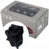 Ruža preparovaná 4cm BLACK /ks- bal. 8 ks Ruža preparovaná 4cm BLACK /ks- bal. 8 ks