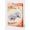 Trerose Dámske pančuchové nohavice Orchidea Marron chiaro Trerose Dámske pančuchové nohavice Orchidea Marron chiaro
