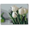Vymalujsisam.sk Maľovanie podľa čísiel - Biele tulipány Veľkosť: 30x40cm, Rám: Na plastovej doske Vymalujsisam.sk Maľovanie podľa čísiel - Biele tulipány Veľkosť: 30x40cm, Rám: Na plastovej doske