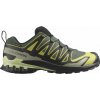 Salomon Xa Pro 3D V9 GTX M L47980400 - urban chic/black/cress green 42 Salomon Xa Pro 3D V9 GTX M L47980400 - urban chic/black/cress green 42
