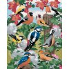Diamondi Diamantové maľovanie - VTÁKY A BIELE KVETY (HOWARD ROBINSON) Rámovanie: vypnuté plátno na rám, Rozmer: 40x50 cm Diamondi Diamantové maľovanie - VTÁKY A BIELE KVETY (HOWARD ROBINSON) Rámovanie: vypnuté plátno na rám, Rozmer: 40x50 cm
