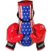 Súprava malého boxera Súprava malého boxera