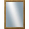 DANTIK - Zrkadlo v rámu, rozmer s rámom 50x70 cm z lišty LEDVINKA hnedá (1441) DANTIK - Zrkadlo v rámu, rozmer s rámom 50x70 cm z lišty LEDVINKA hnedá (1441)