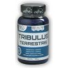 Nutristar Tribulus Terrestris Kotvičník 100 tabliet Nutristar Tribulus Terrestris Kotvičník 100 tabliet