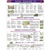 Basic English III. - A4 karta Basic English III. - A4 karta