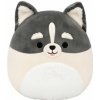 Squishmallows Pomsky Paolo (191726862901) Squishmallows Pomsky Paolo (191726862901)