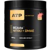 ATP Nutrition BCAA Nitro + DMAE 300 g oranžová ATP Nutrition BCAA Nitro + DMAE 300 g oranžová