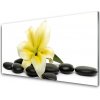 Nástenný panel Kvet kamene umenie 100x50 cm Nástenný panel Kvet kamene umenie 100x50 cm