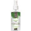 INA HYDROLINA ORGANIC Voda z Borovice sprej na nohy 150ml INA HYDROLINA ORGANIC Voda z Borovice sprej na nohy 150ml