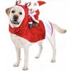 RECORD Vianočné oblečenie pre psa