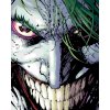 ZUTY Maľovanie podľa čísel - JOKER PORTRÉT (BATMAN) Rámovanie: vypnuté plátno na rám, Rozmer: 40x50 cm ZUTY Maľovanie podľa čísel - JOKER PORTRÉT (BATMAN) Rámovanie: vypnuté plátno na rám, Rozmer: 40x50 cm