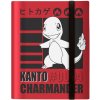 Album 9P PRO Binder Pokémon Charmander Album 9P PRO Binder Pokémon Charmander
