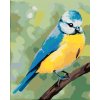 ZUTY Maľovanie podľa čísel - MODRÝ VTÁČIK SEDIACI NA KONÁRIKU (MYROSLAVA VOLOSCHUK) Rámovanie: bez rámu a bez vypnutia plátna, Rozmer: 40x50 cm ZUTY Maľovanie podľa čísel - MODRÝ VTÁČIK SEDIACI NA KONÁRIKU (MYROSLAVA VOLOSCHUK) Rámovanie: bez rámu a bez vypnutia plátna, Rozmer: 40x50 cm
