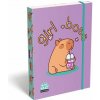 Box na zošity, A5, LIZZYSULI, Lollipop Capybara, zelený Box na zošity, A5, LIZZYSULI, Lollipop Capybara, zelený