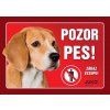 Juko Plastová tabuľa Pozor Pes Bígl 21 x 14,7 cm Juko Plastová tabuľa Pozor Pes Bígl 21 x 14,7 cm