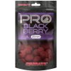 Boilies Starbaits Probiotic Blackberry 200g - 24 mm Boilies Starbaits Probiotic Blackberry 200g - 24 mm