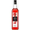 Routin Sirup Watermelon syrup 1l Routin Sirup Watermelon syrup 1l