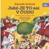 Audiokniha Jaké je to asi v Čudu (CD) - Zdeněk Svěrák Audiokniha Jaké je to asi v Čudu (CD) - Zdeněk Svěrák