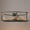 Paul Neuhaus LED závesné svietidlo Conni od Paula Neuhausa, čierna, Ø 50 cm - 2442-18 Paul Neuhaus LED závesné svietidlo Conni od Paula Neuhausa, čierna, Ø 50 cm - 2442-18