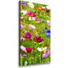 Vertikálny foto obraz canvas Poľné kvety 50x100 cm Vertikálny foto obraz canvas Poľné kvety 50x100 cm
