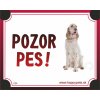 HP product for Happy Pets Tabulka POZOR PES - irsky seter HP product for Happy Pets Tabulka POZOR PES - irsky seter