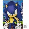 Pyramid International Plagát 3D - Ježko Sonic Pyramid International Plagát 3D - Ježko Sonic