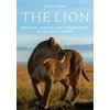 Craig Packer - Lion Craig Packer - Lion