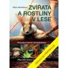 Zvířata a rostliny v lese - Wohlleben Peter Zvířata a rostliny v lese - Wohlleben Peter