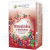 Megafyt Brusnica s bazyňou 20 x 2 g Megafyt Brusnica s bazyňou 20 x 2 g