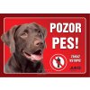 Juko Plastová tabuľa Pozor Pes Labrador hnedý 21 x 14,7 cm Juko Plastová tabuľa Pozor Pes Labrador hnedý 21 x 14,7 cm