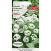 Semená medvedieho cesnaku Allium ursinum 0,5 g Semená medvedieho cesnaku Allium ursinum 0,5 g
