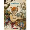 Peter Pan (Régis Loisel)(Pevná) Peter Pan (Régis Loisel)(Pevná)