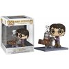 Funko Pop! Deluxe: Harry Potter s vozíkem na nádraží 9 a 3/4, 65648 Funko Pop! Deluxe: Harry Potter s vozíkem na nádraží 9 a 3/4, 65648