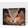Vymalujsisam.sk Maľovanie podľa čísiel - Sova2 Veľkosť: 30x40cm, Rám: Bez rámu, iba zrolované plátno Vymalujsisam.sk Maľovanie podľa čísiel - Sova2 Veľkosť: 30x40cm, Rám: Bez rámu, iba zrolované plátno