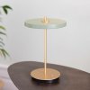 UMAGE stolová LED lampa Asteria Move olivovo zelená/mosadz 31 cm - 2506 UMAGE stolová LED lampa Asteria Move olivovo zelená/mosadz 31 cm - 2506