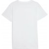 Pánske tričko Puma Everyday Crew Neck Tee 2P Veľkosť: XL / Farba: biela Pánske tričko Puma Everyday Crew Neck Tee 2P Veľkosť: XL / Farba: biela