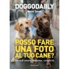 Posso fare una foto al tuo cane? Storie di amore, resilienza, complicità (Doggodaiily Navid Tarazi)(Brožovaná) Posso fare una foto al tuo cane? Storie di amore, resilienza, complicità (Doggodaiily Navid Tarazi)(Brožovaná)