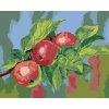 Maľovanie podľa čísel Jabloň, 80x100 cm, bez rámu a bez vypnutia plátna (6041262) Maľovanie podľa čísel Jabloň, 80x100 cm, bez rámu a bez vypnutia plátna (6041262)