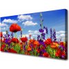 Obraz na plátne Tulipány rastlina 100x50 cm Obraz na plátne Tulipány rastlina 100x50 cm