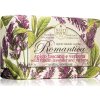 Nesti Dante Romantica Wild Tuscan Lavender and Verbena prírodné mydlo 250 g Nesti Dante Romantica Wild Tuscan Lavender and Verbena prírodné mydlo 250 g
