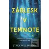 Záblesk v temnote (Stacy Willingham) Záblesk v temnote (Stacy Willingham)