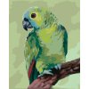 Diamondi Diamantové maľovanie - PAPAGÁJ (MYROSLAVA VOLOSCHUK) Rámovanie: vypnuté plátno na rám, Rozmer: 40x50 cm Diamondi Diamantové maľovanie - PAPAGÁJ (MYROSLAVA VOLOSCHUK) Rámovanie: vypnuté plátno na rám, Rozmer: 40x50 cm