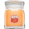 Yankee Candle Slopeside Spritz 368 g Yankee Candle Slopeside Spritz 368 g