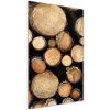 Vertikálny foto obraz fotografie na skle Polená stromov 50x100 cm Vertikálny foto obraz fotografie na skle Polená stromov 50x100 cm