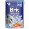 Brit Premium by Nature Cat Delicate Fillets in Jelly with Salmon 85 g Brit Premium by Nature Cat Delicate Fillets in Jelly with Salmon 85 g