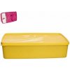 Home Dóza plastová NO-FROST 2 l 26x15 x 6,5 cm Home Dóza plastová NO-FROST 2 l 26x15 x 6,5 cm